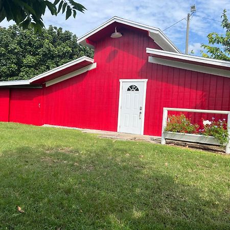 Maria'S Tiny Barn Guest House Хоумстед Екстериор снимка