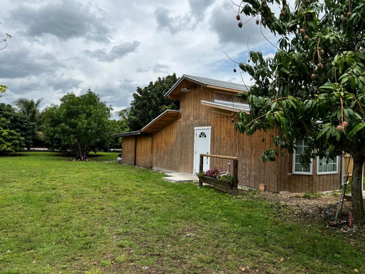 Maria'S Tiny Barn Guest House Хоумстед Екстериор снимка