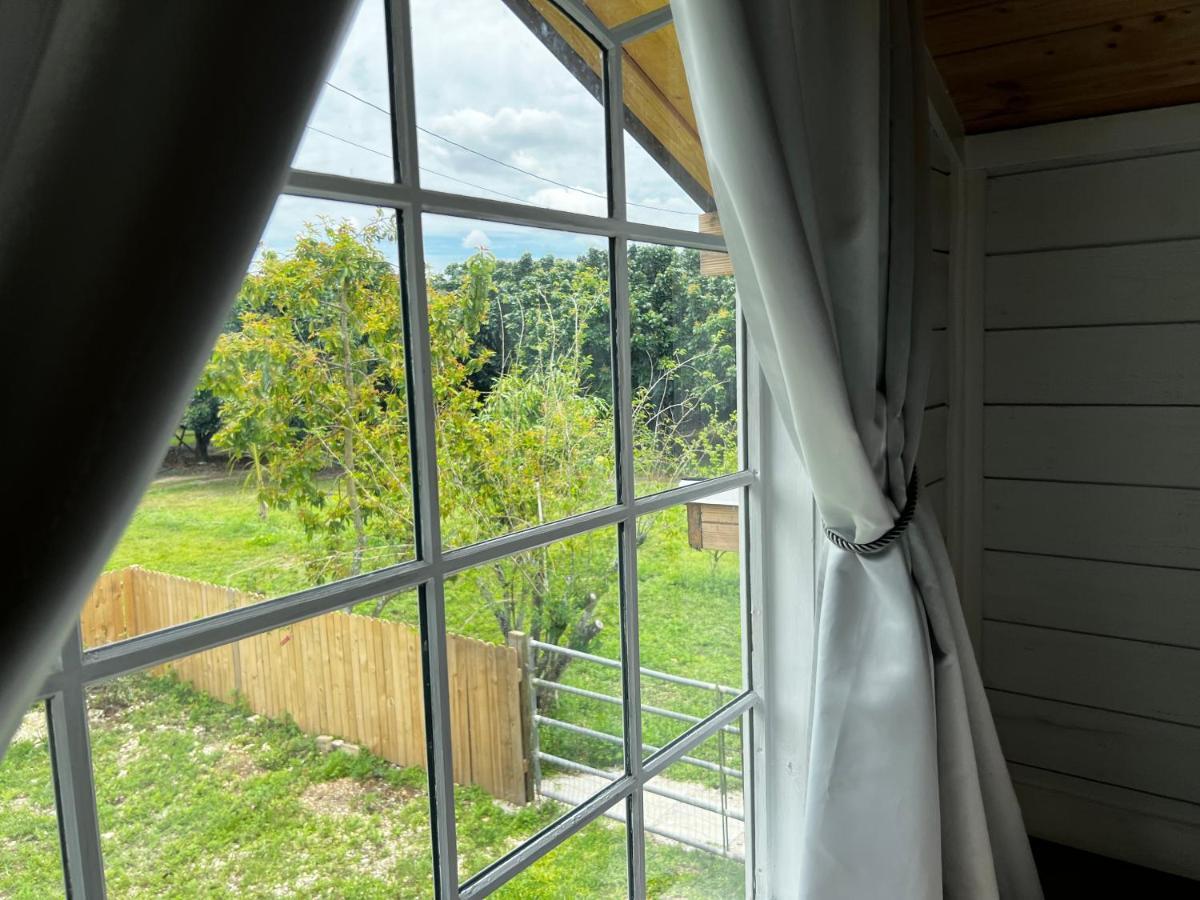 Maria'S Tiny Barn Guest House Хоумстед Екстериор снимка